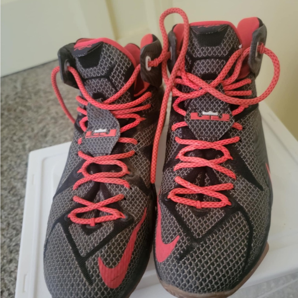 Adult Shoes Lebron 12